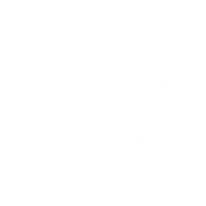 Audi-White